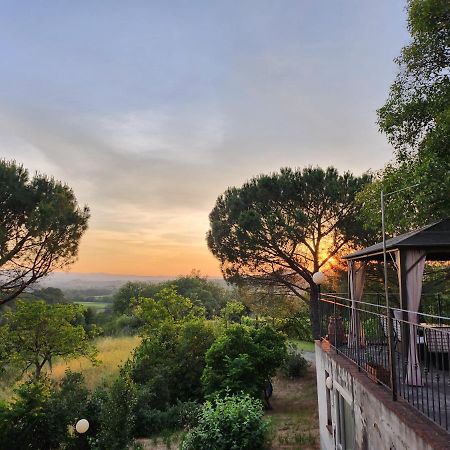 Il Giuggiolo - La Collina Della Quiete Bed & Breakfast เชร์ตาลโด ภายนอก รูปภาพ