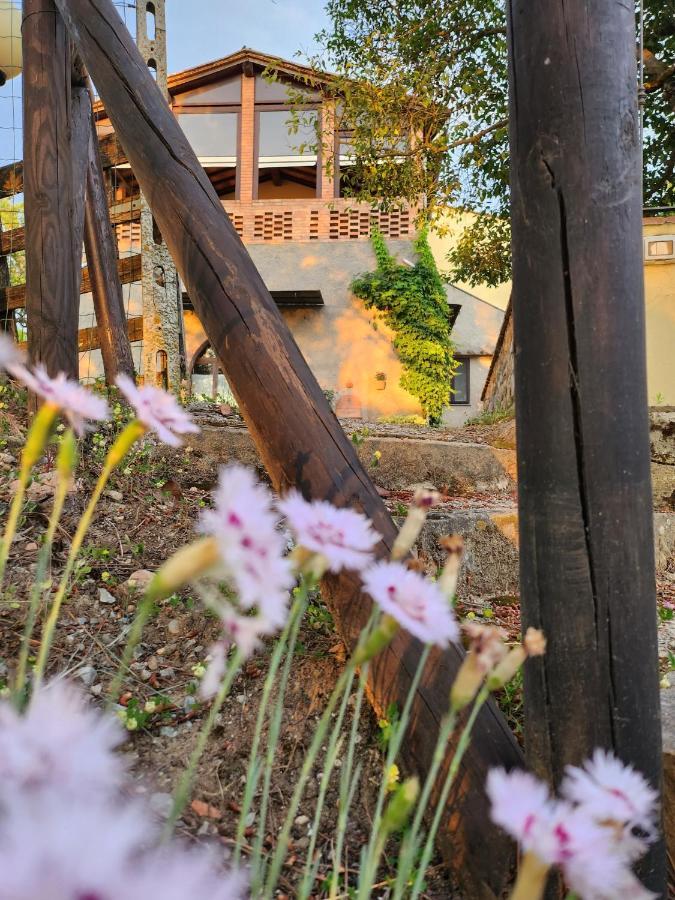 Il Giuggiolo - La Collina Della Quiete Bed & Breakfast เชร์ตาลโด ภายนอก รูปภาพ