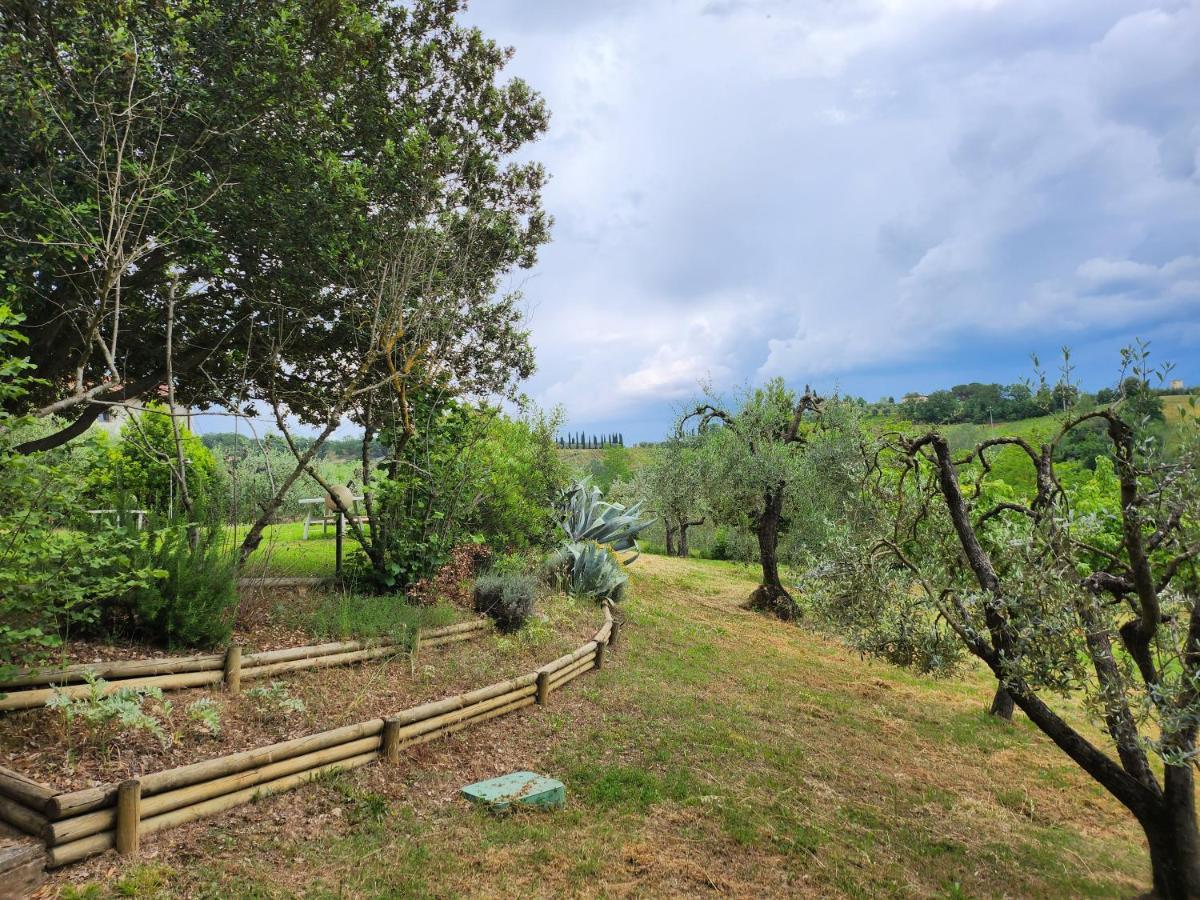 Il Giuggiolo - La Collina Della Quiete Bed & Breakfast เชร์ตาลโด ภายนอก รูปภาพ