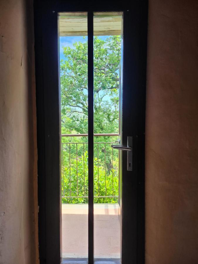 Il Giuggiolo - La Collina Della Quiete Bed & Breakfast เชร์ตาลโด ภายนอก รูปภาพ