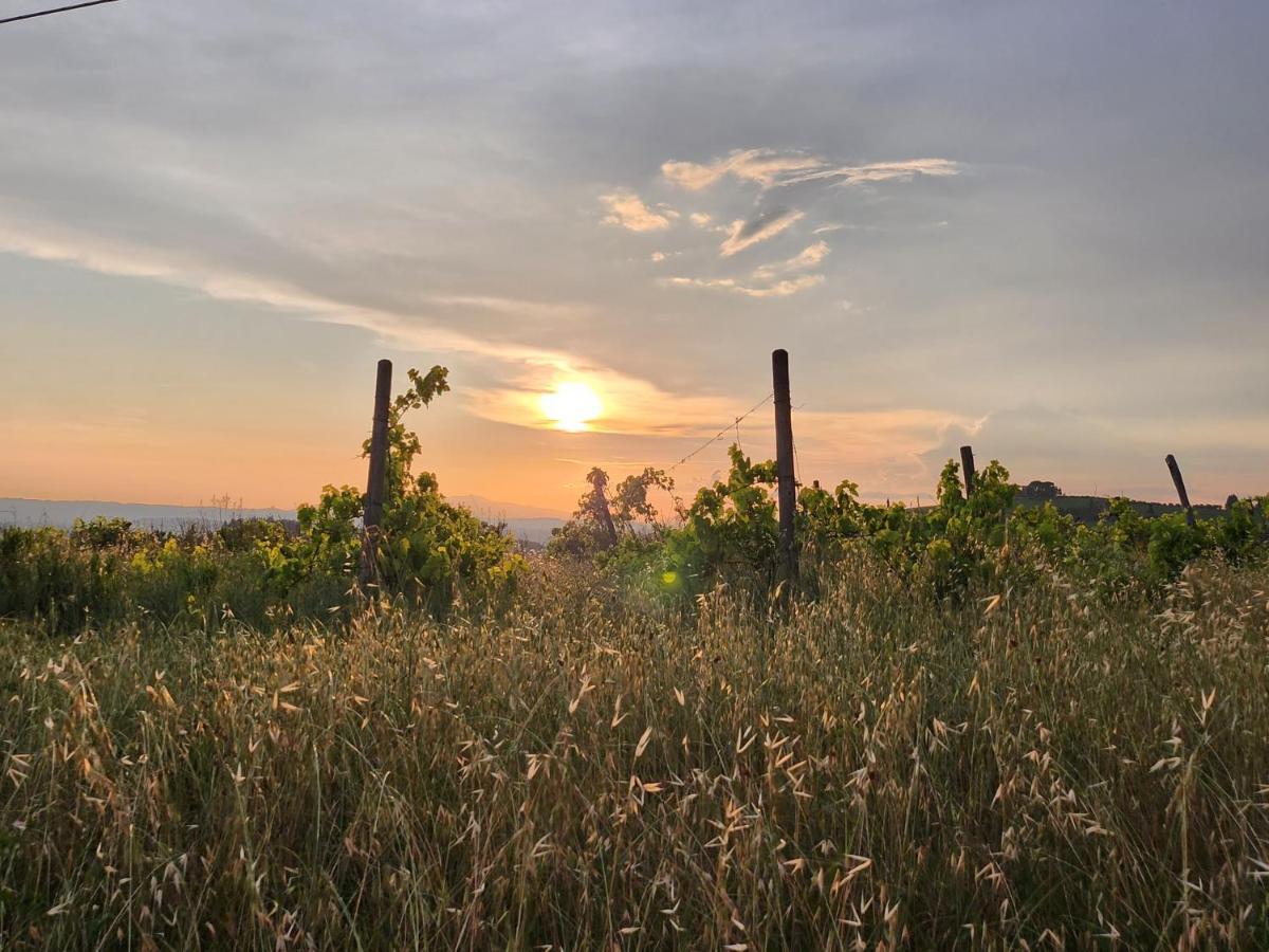 Il Giuggiolo - La Collina Della Quiete Bed & Breakfast เชร์ตาลโด ภายนอก รูปภาพ