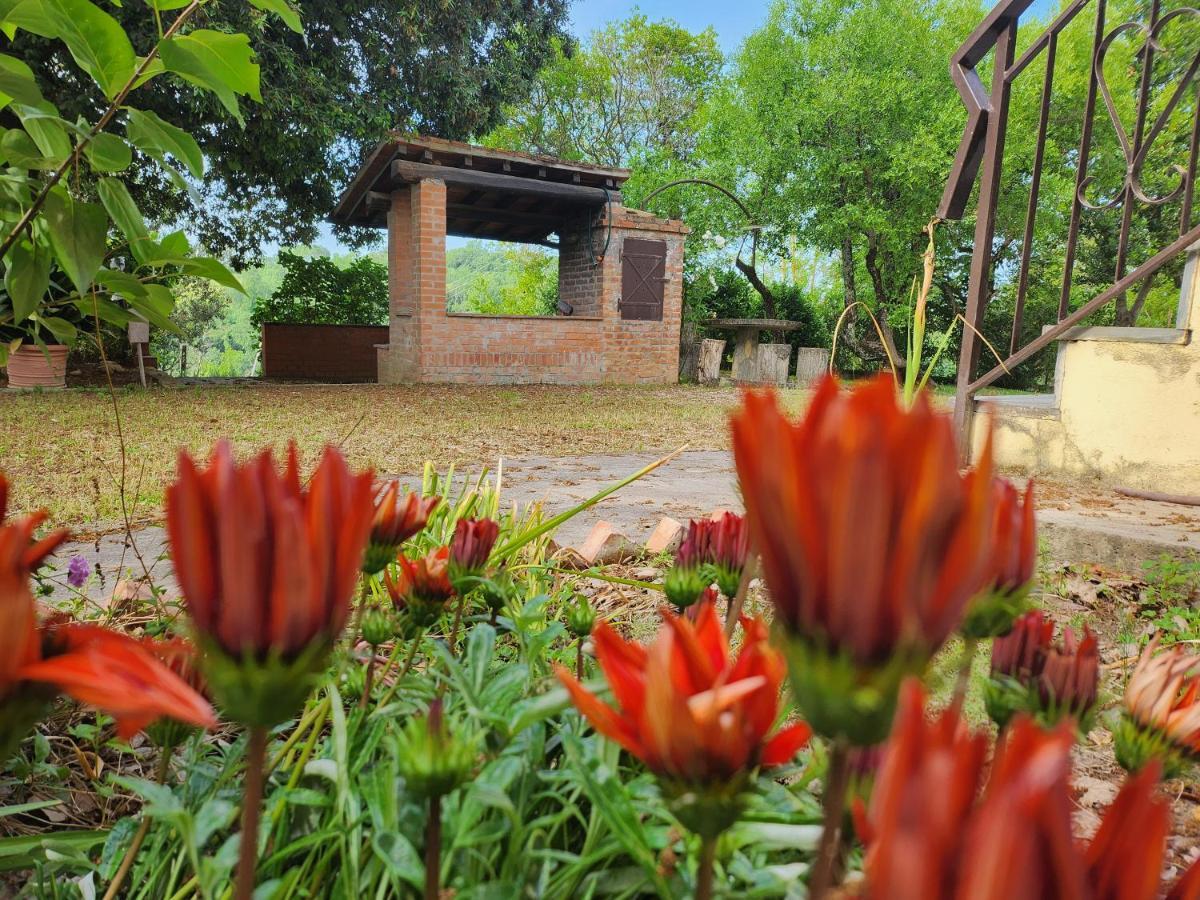 Il Giuggiolo - La Collina Della Quiete Bed & Breakfast เชร์ตาลโด ภายนอก รูปภาพ